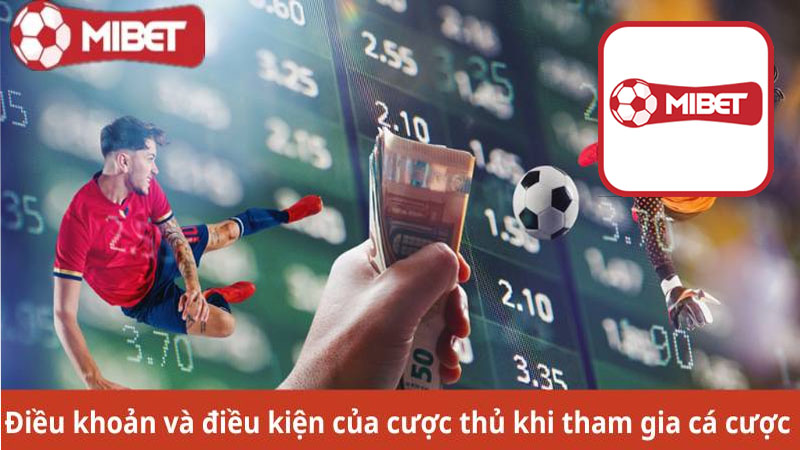 Điều khoản và điều kiện của nhà cái Mibet là gì?